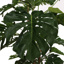 SPLIT PHILO PLANT 200CM GREEN