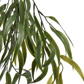 WEEPING WILLOW 60CM GREEN