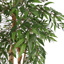 TROPICAL RUSCUS TREE 150CM GREEN